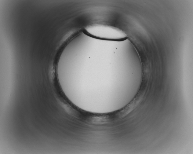 X0000114230160200910161619