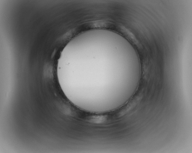 X0000114230161200910161619