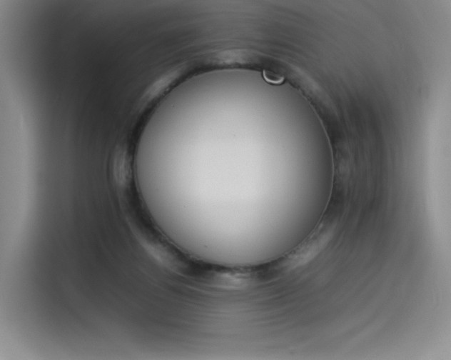 X0000114230164200910161619