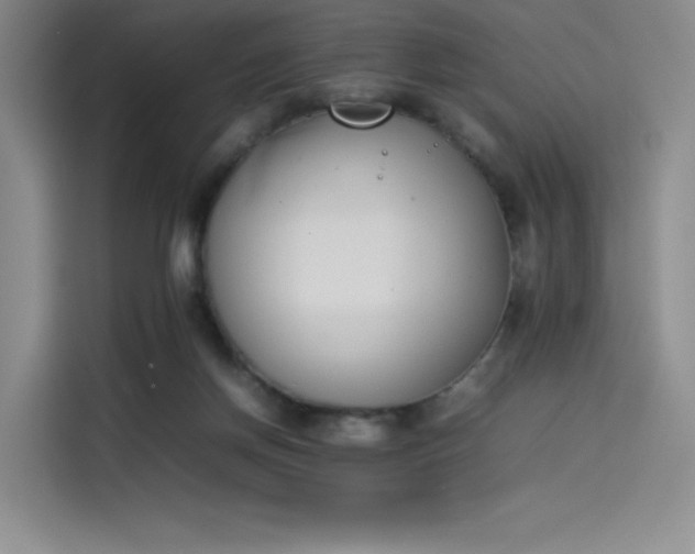 X0000114230166200910161619