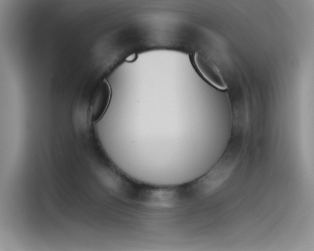 X0000114230168200910161619