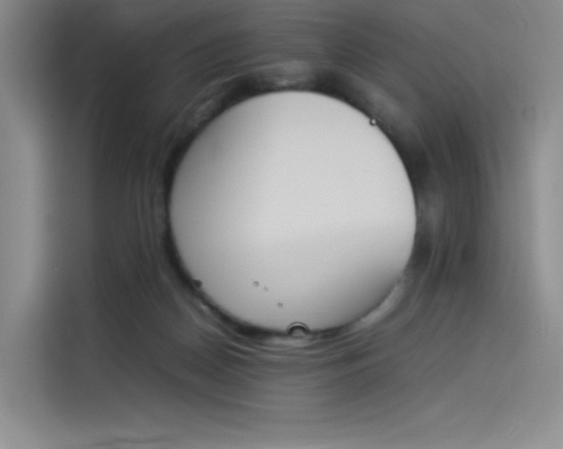 X0000114230170200910161619