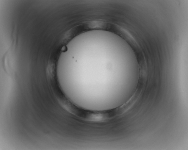 X0000114230171200910161619