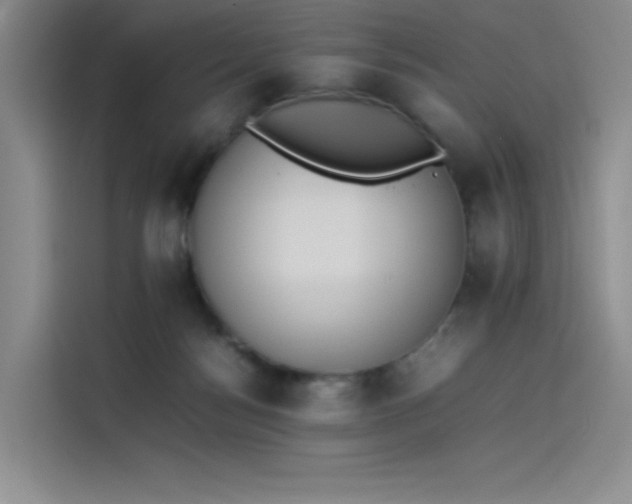 X0000114230172200910161619