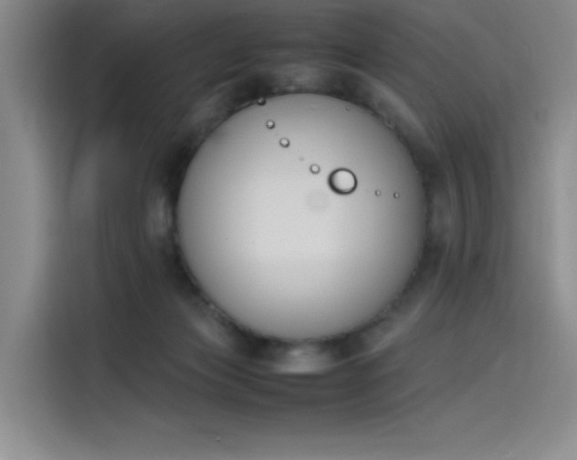 X0000114230173200910161619