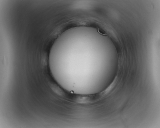 X0000114230174200910161619
