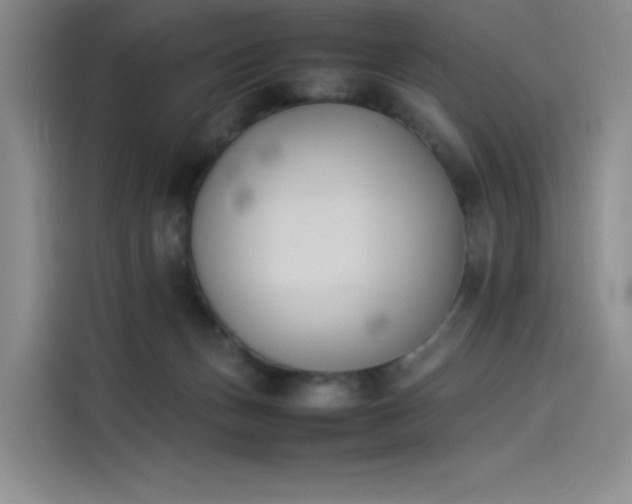 X0000114230175200910161619