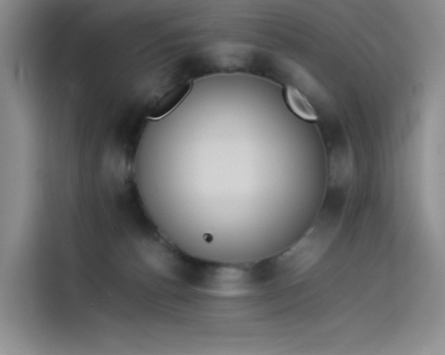 X0000114230176200910161619