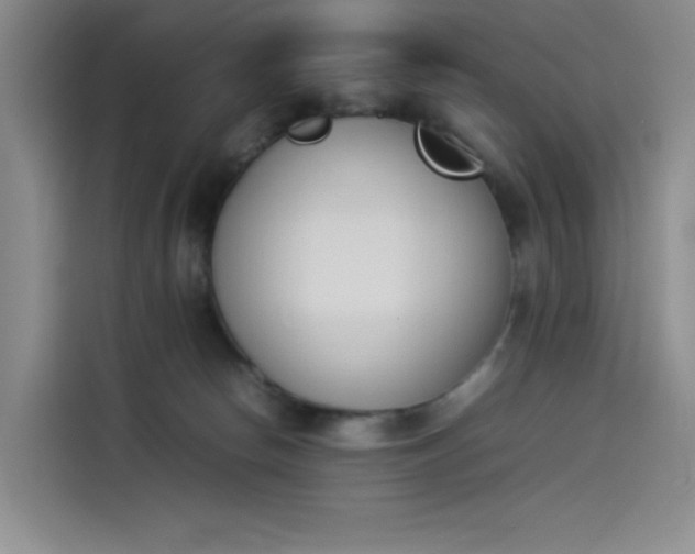 X0000114230178200910161619