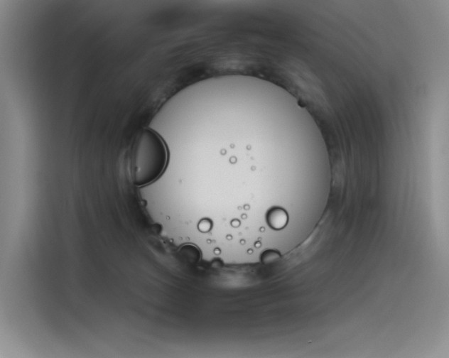 X0000114230179200910161619