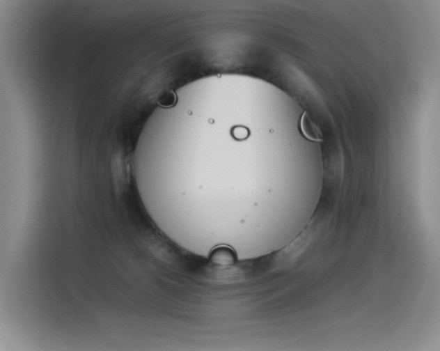 X0000114230180200910161619