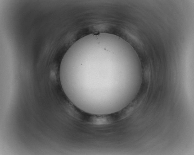 X0000114230181200910161619