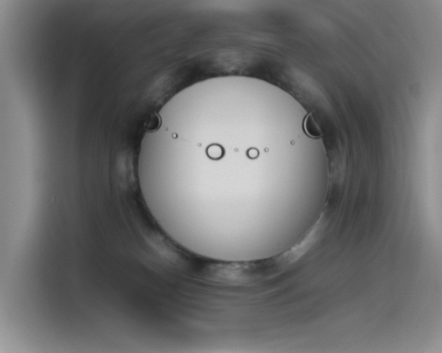 X0000114230182200910161619
