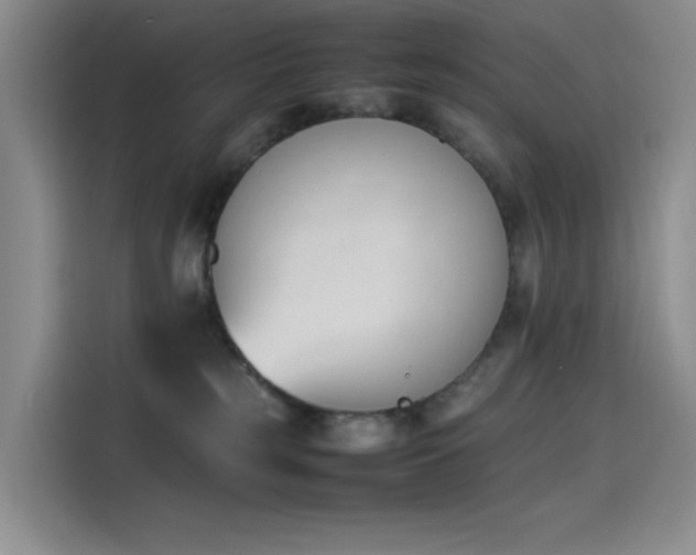 X0000114230185200910161619