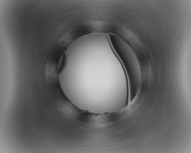 X0000114230186200910161619