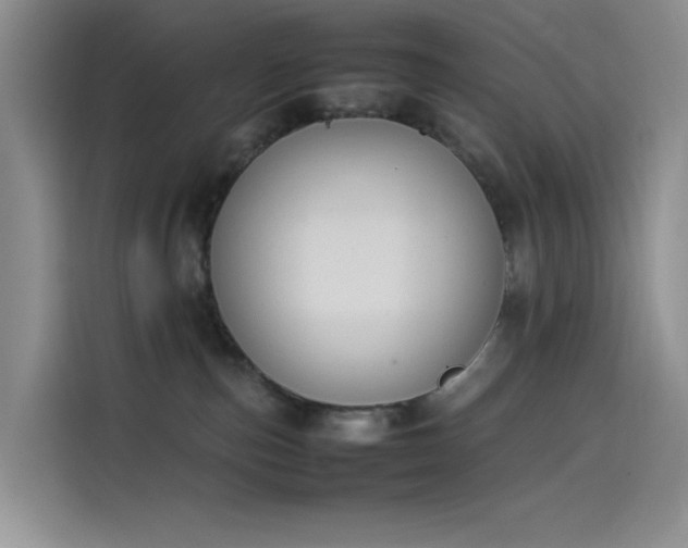 X0000114230187200910161619