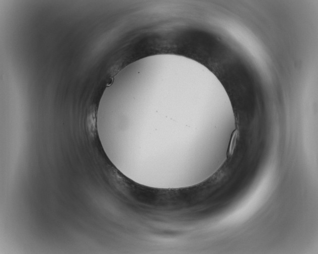X0000114230190200910161619