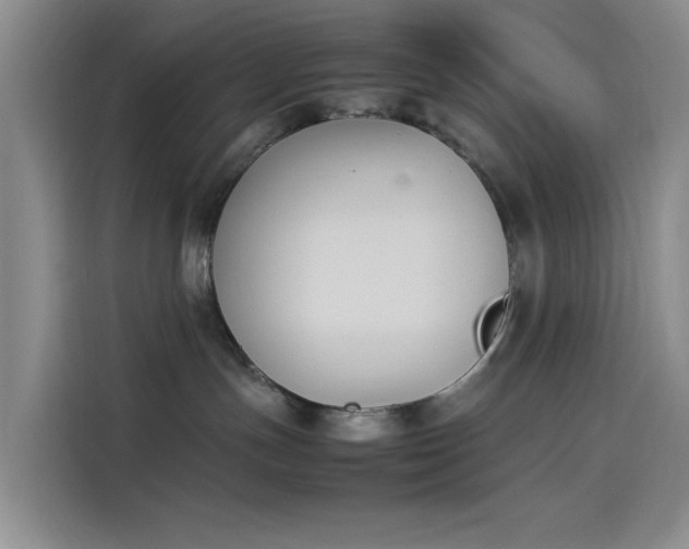 X0000114230191200910161619