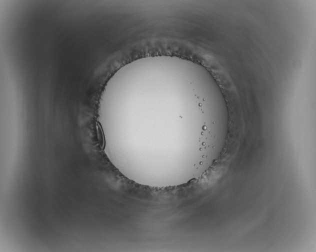 X0000114230192200910161619