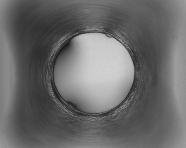 X0000114230193200910161618