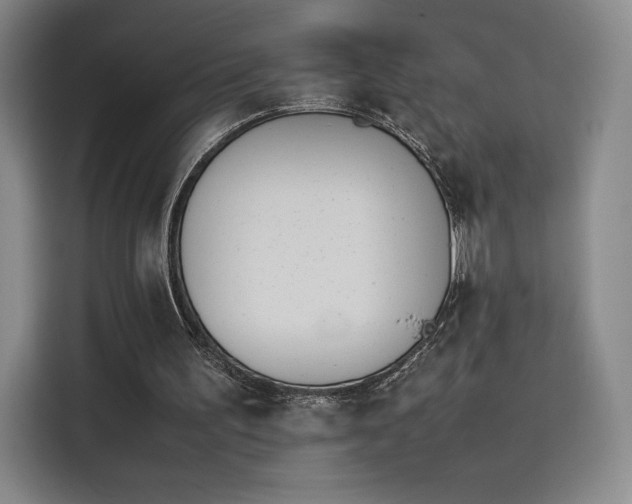 X0000114230195200910161618