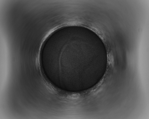 X0000114230196200910161618