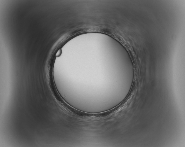 X0000114230197200910161618