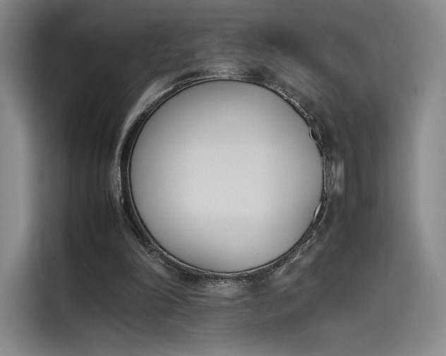 X0000114230198200910161618