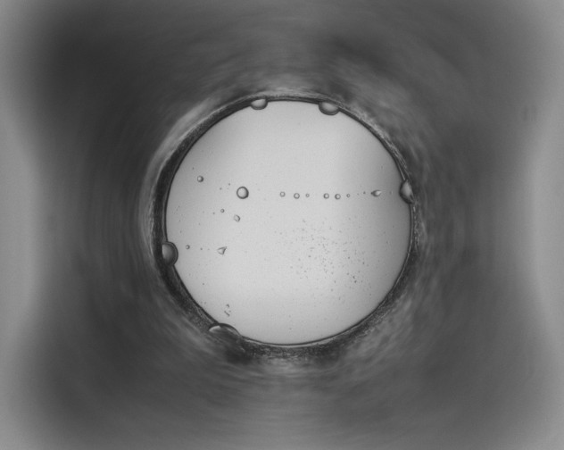 X0000114230199200910161618