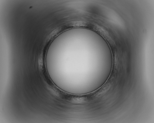 X0000114230202200910161618