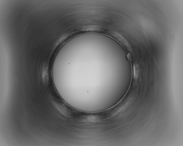 X0000114230204200910161618