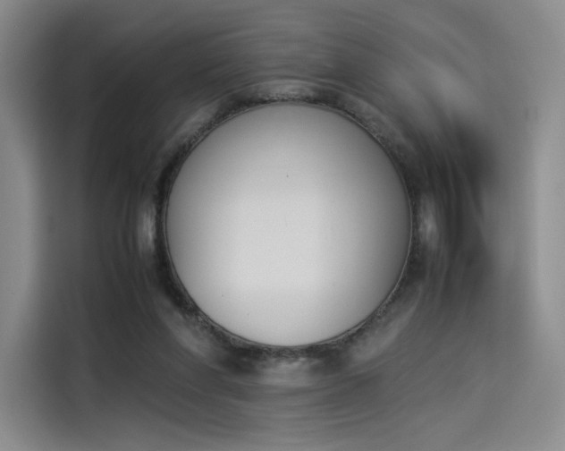 X0000114230206200910161618