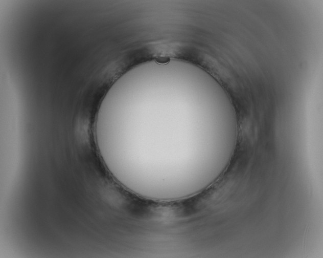 X0000114230209200910161618
