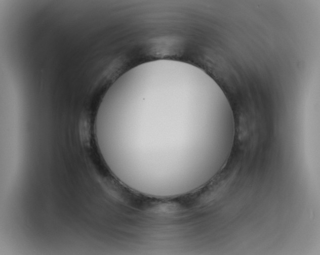 X0000114230210200910161618