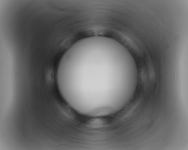 X0000114230218200910161618