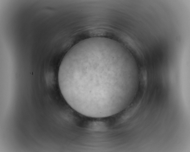 X0000114230224200910161618
