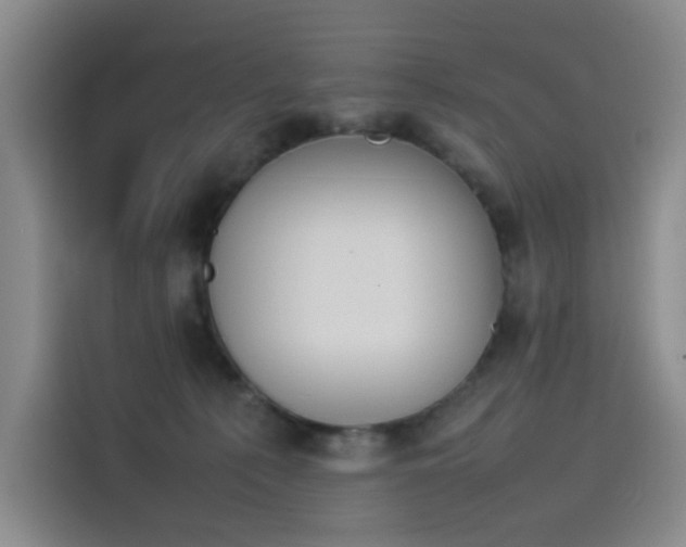 X0000114230225200910161618