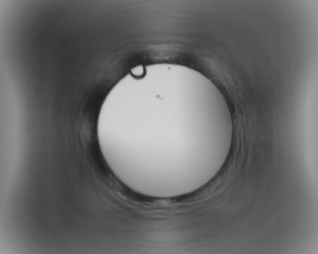 X0000114230227200910161618