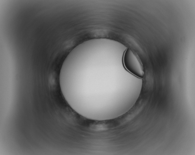 X0000114230228200910161618