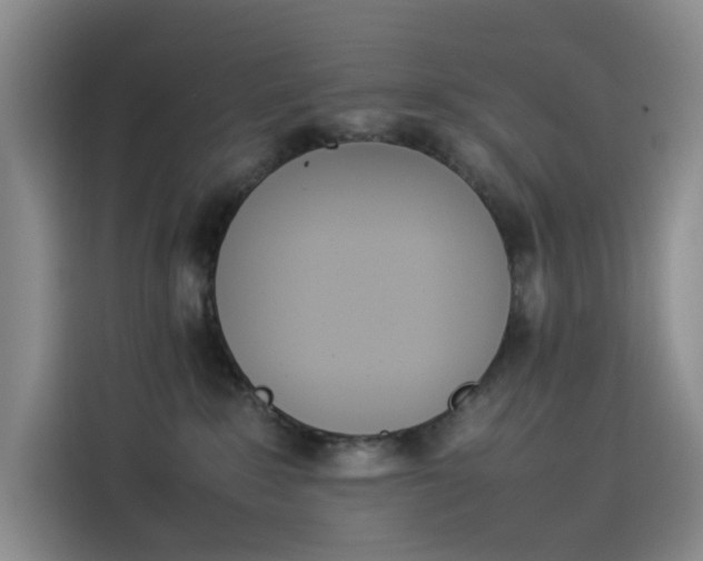 X0000114230235200910161618
