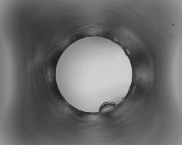X0000114230236200910161618