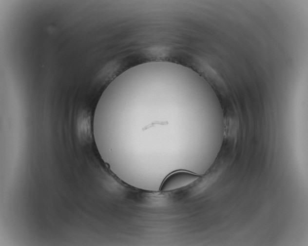 X0000114230238200910161618