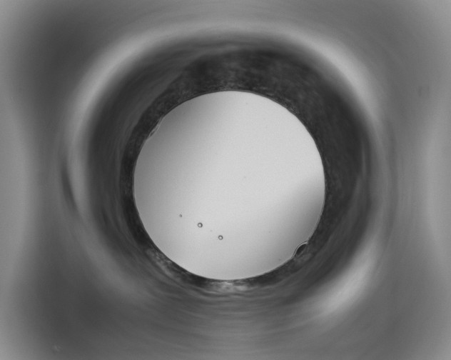 X0000114230239200910161618