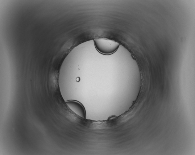 X0000114230240200910161618