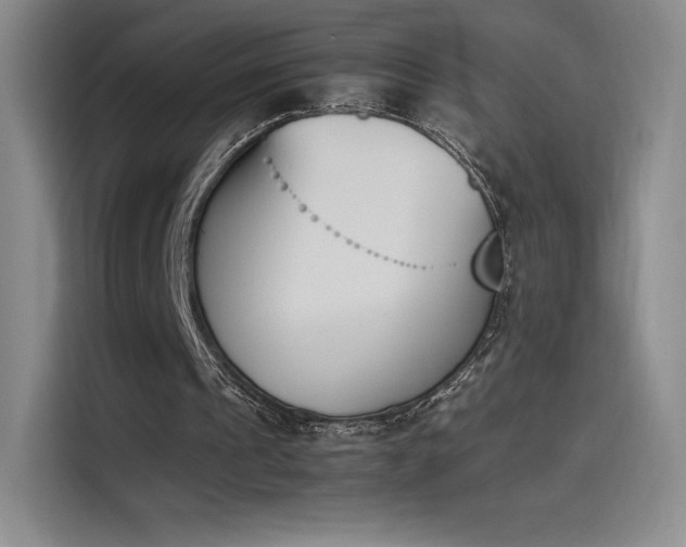 X0000114230241200910161617