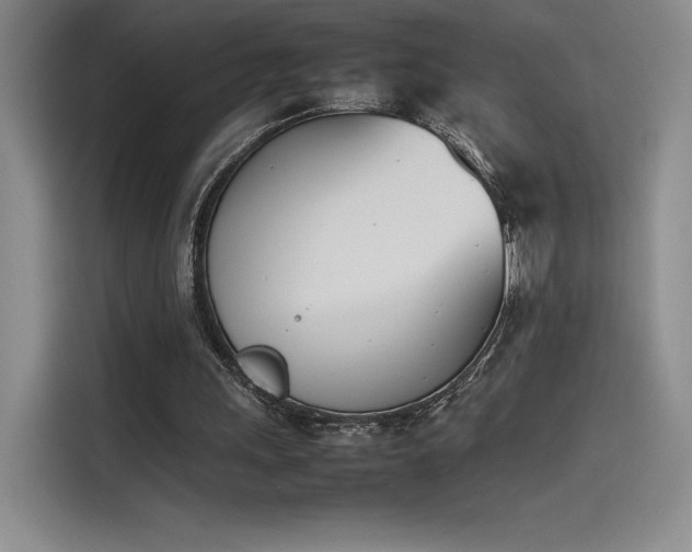 X0000114230243200910161617