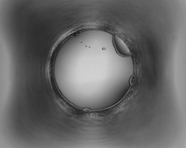 X0000114230244200910161617