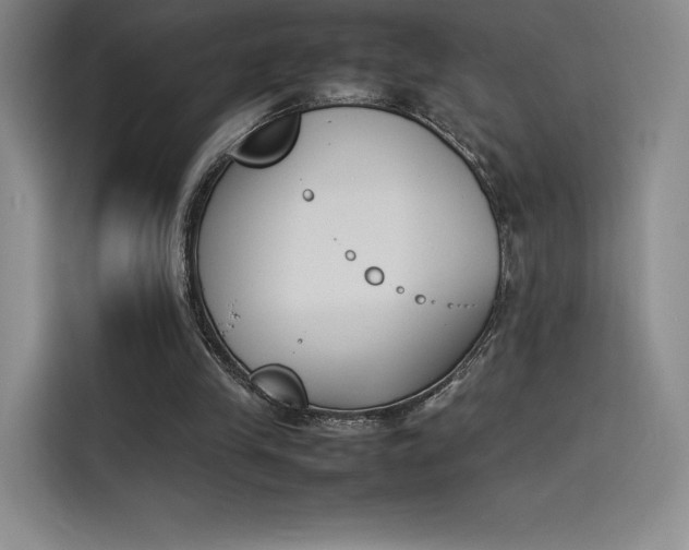 X0000114230245200910161617