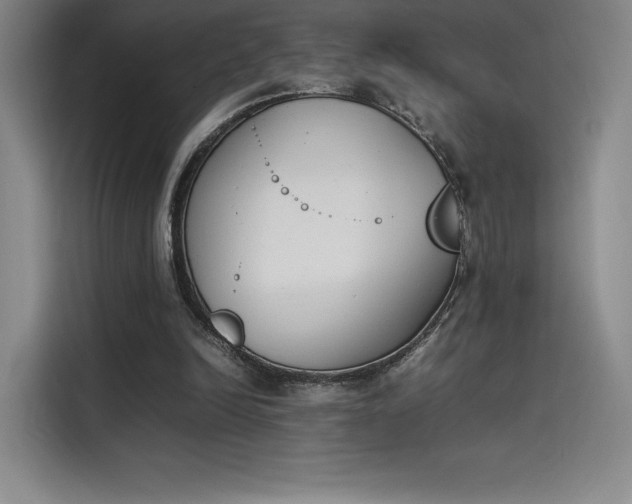 X0000114230246200910161617