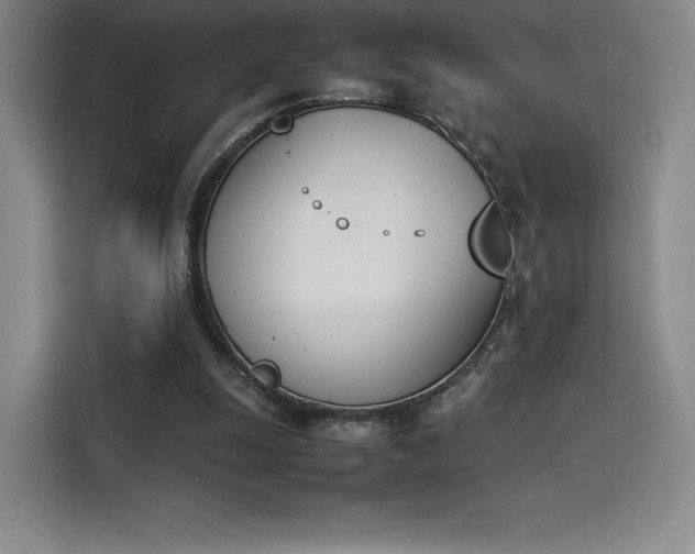 X0000114230247200910161617